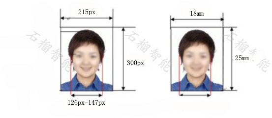 社工考试报名照片 尺寸样品