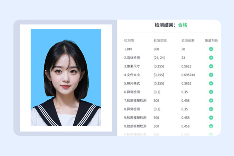 审核检测